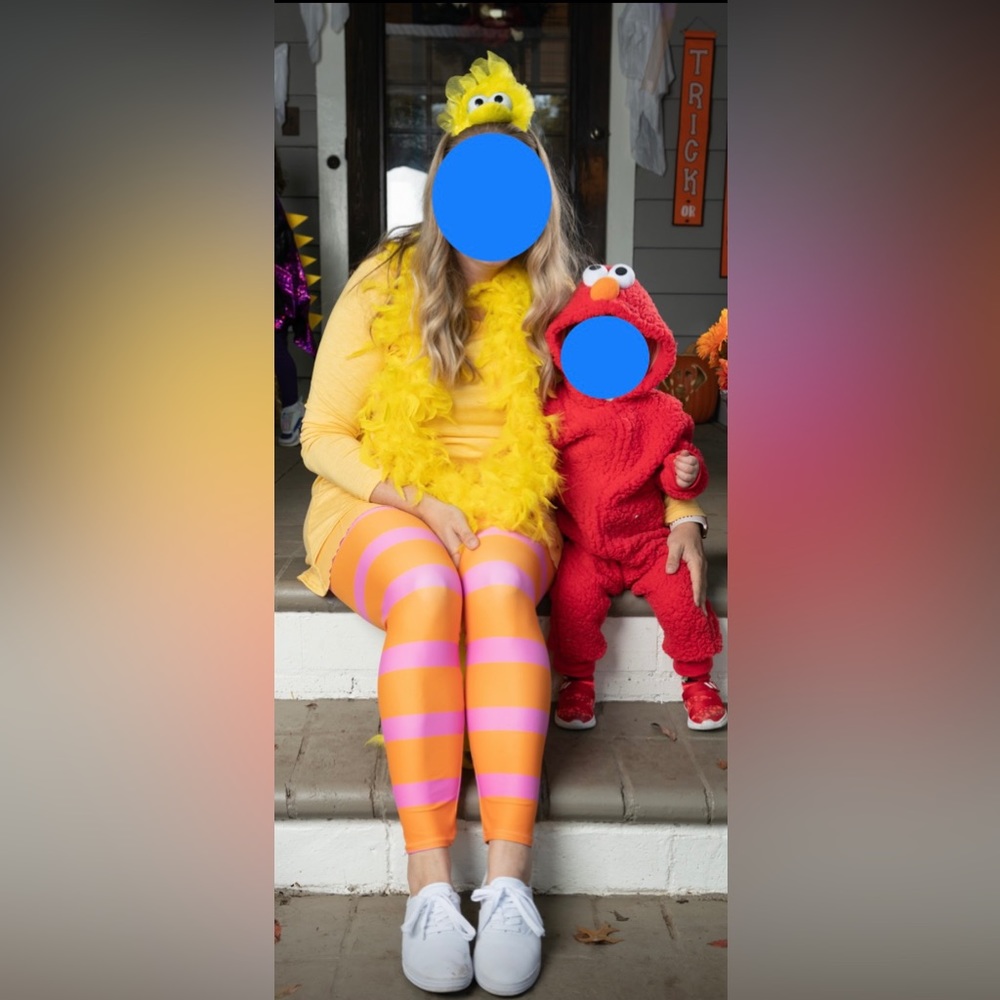 Sesame Street Big Bird Halloween Costume